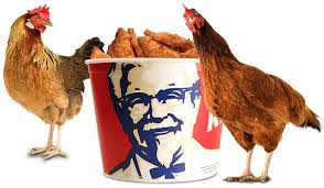 KFC : Kentucky Fried Chicken درست کردن کنتاکی ، مرغ سوخاری