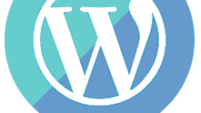 فیلمها و آموزشهای استفاده از وردپرس Wordpress tutorial